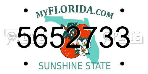5652733 Florida License Plate