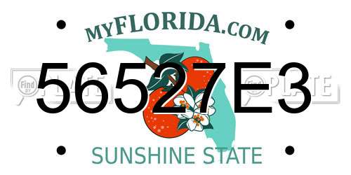 56527E3 Florida License Plate