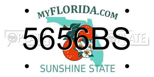 5656BS Florida License Plate