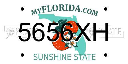 5656XH Florida License Plate