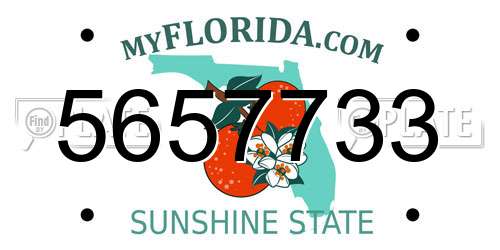 5657733 Florida License Plate