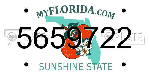 5659722 Florida License Plate