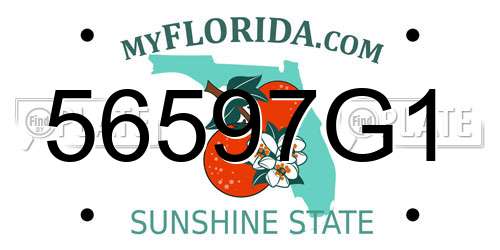 56597G1 Florida License Plate