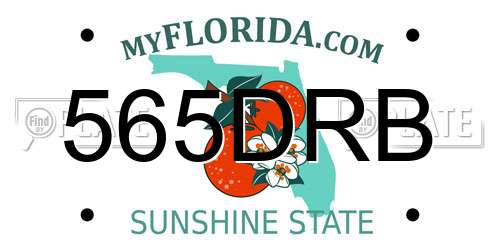 565DRB Florida License Plate