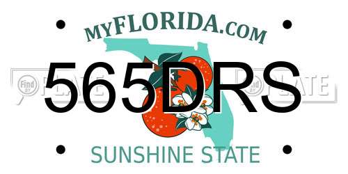 565DRS Florida License Plate