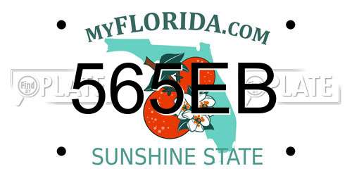 565EB Florida License Plate
