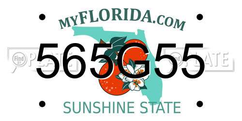 565G55 Florida License Plate