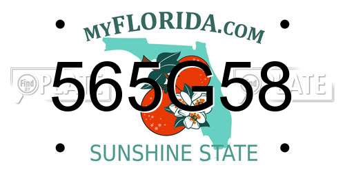 565G58 Florida License Plate