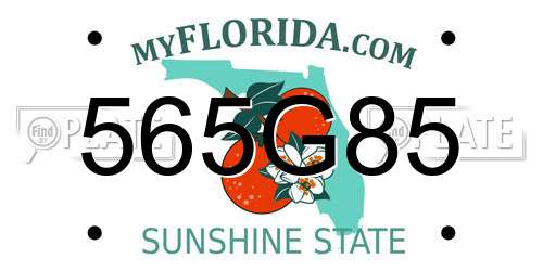 565G85 Florida License Plate
