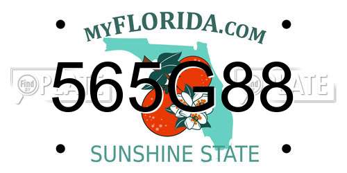 565G88 Florida License Plate