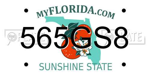 565GS8 Florida License Plate