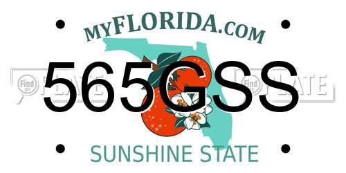 565GSS Florida License Plate