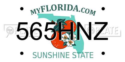 565HNZ Florida License Plate