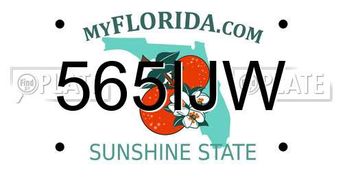 565IJW Florida License Plate