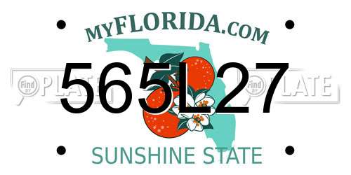 565L27 Florida License Plate