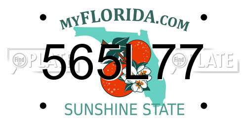 565L77 Florida License Plate
