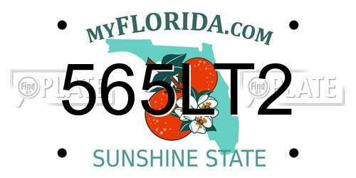 565LT2 Florida License Plate