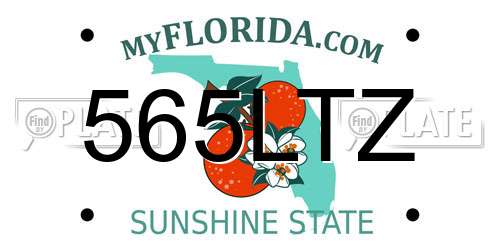 565LTZ Florida License Plate