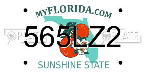 565LZ2 Florida License Plate