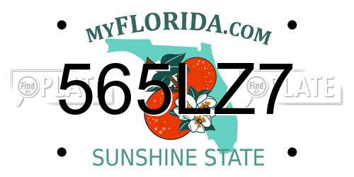 565LZ7 Florida License Plate
