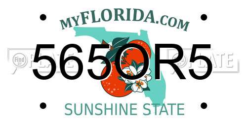 565OR5 Florida License Plate