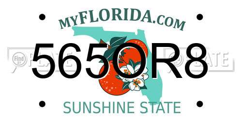 565OR8 Florida License Plate