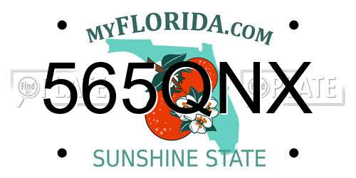 565QNX Florida License Plate