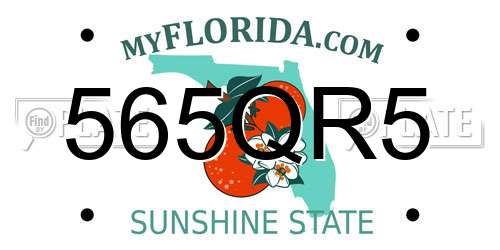 565QR5 Florida License Plate