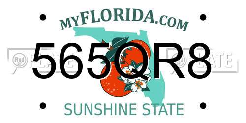 565QR8 Florida License Plate