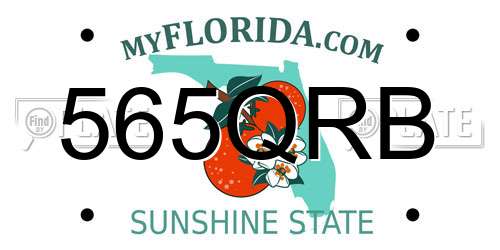 565QRB Florida License Plate