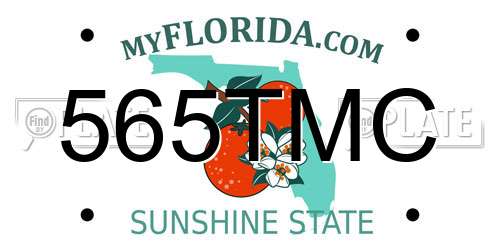 565TMC Florida License Plate