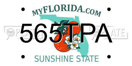 565TPA Florida License Plate