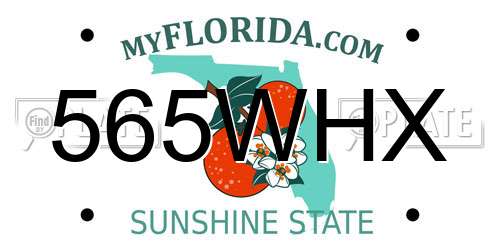 565WHX Florida License Plate