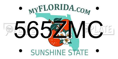 565ZMC Florida License Plate