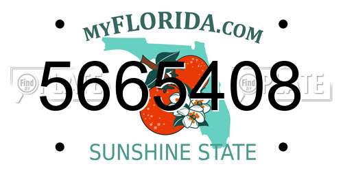5665408 Florida License Plate