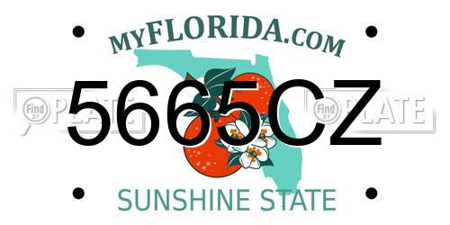 5665CZ Florida License Plate