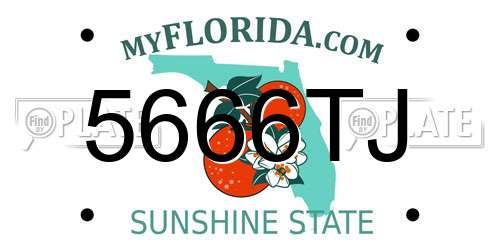 5666TJ Florida License Plate