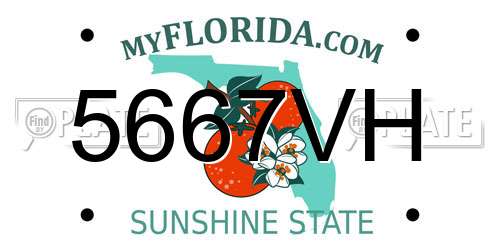 5667VH Florida License Plate