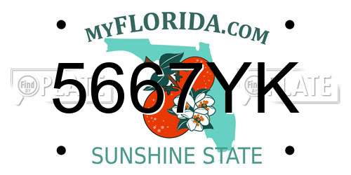 5667YK Florida License Plate