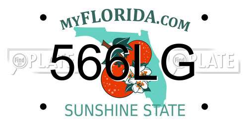 566LG Florida License Plate