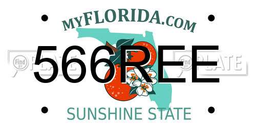 566REE Florida License Plate