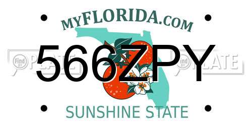 566ZPY Florida License Plate