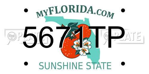 5671TP Florida License Plate