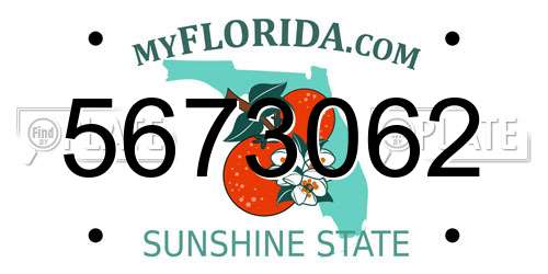 5673062 Florida License Plate