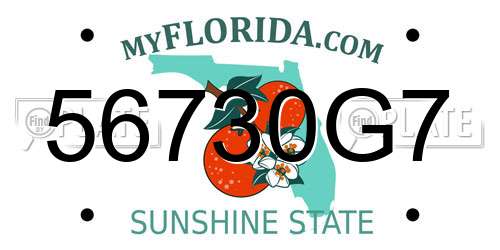 56730G7 Florida License Plate