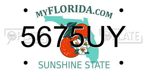 5675UY Florida License Plate