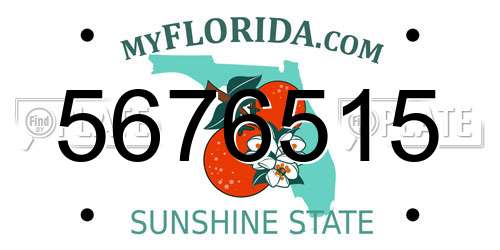 5676515 Florida License Plate