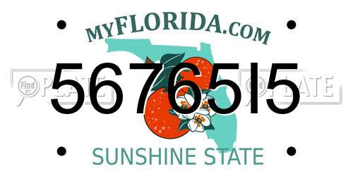 56765I5 Florida License Plate