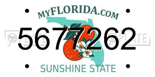 5677262 Florida License Plate