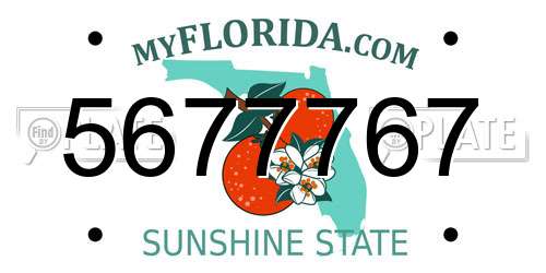5677767 Florida License Plate